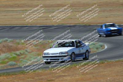 media/May-14-2023-Cobra Club (Sun) [[e55caaa618]]/Yellow Group/Afternoon Session Turn 2b/